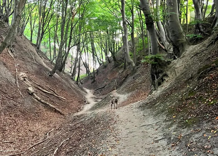 Rozewie - Widok Na Morze - *